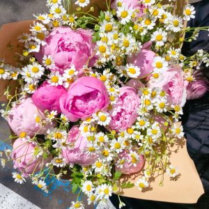 WOW Peonies