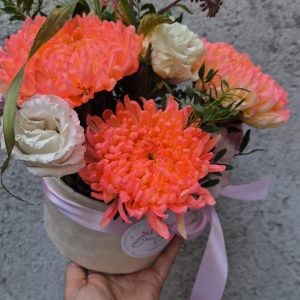 Coral Blush